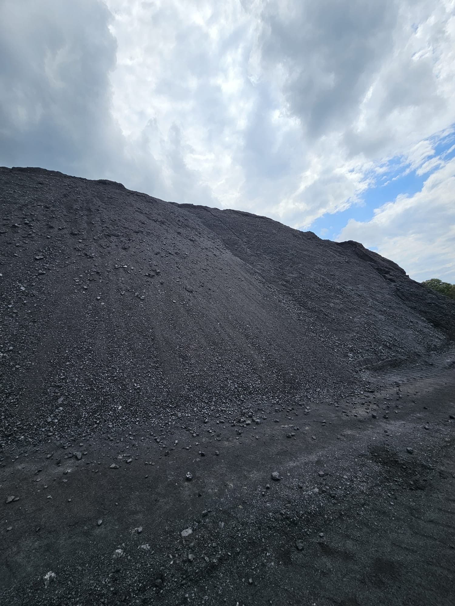 Coal